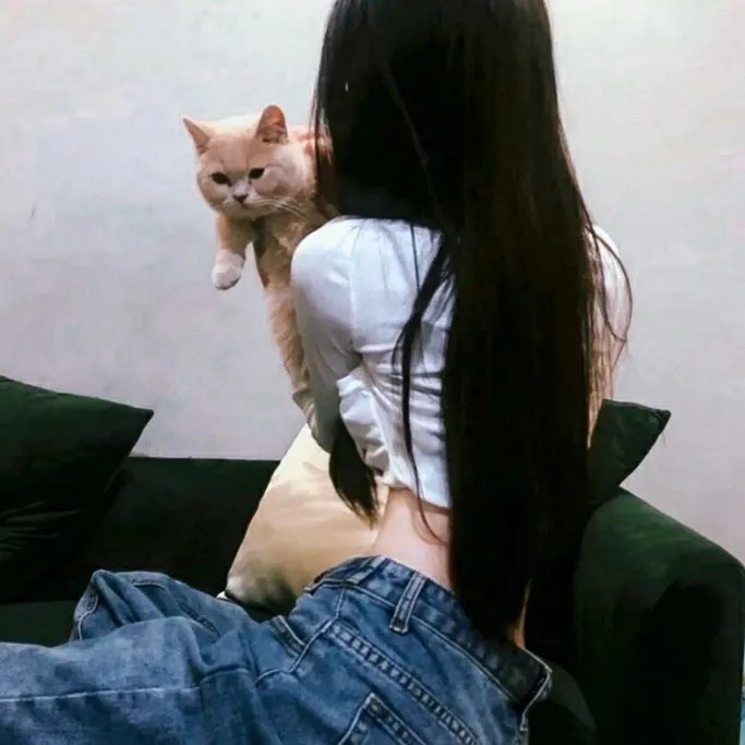辣手无情